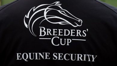 Breeders' Cup Focuses on Safety, Extensive Testing