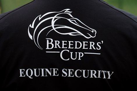 Breeders' Cup Focuses on Safety, Extensive Testing