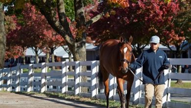 High Expectations for Keeneland November Sale