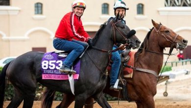 Cairo Memories Soars Past Expectations to Breeders' Cup