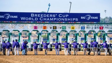 Breeders' Cup Horses Test Clear of Prohibited Drugs
