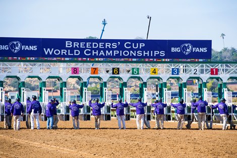 Breeders' Cup Horses Test Clear of Prohibited Drugs