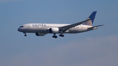 A United Airlines 787 Dreamliner prepares to land at San Francisco International Airport on October 19, in San Francisco, California.