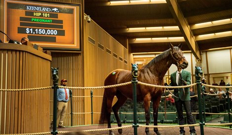 Stonestreet Goes to $1.15M for Dam of GSW Mutasaabeq