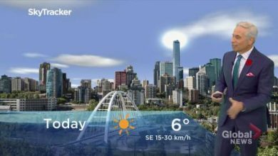 Edmonton early morning weather forecast: Monday, November 1, 2021