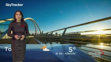 Edmonton early morning weather forecast: Monday, November 8, 2021