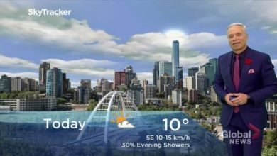Edmonton early morning weather forecast: Thursday, November 4, 2021