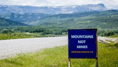 Coal mining in the Rockies would overall negatively impact Alberta: U of C analysis