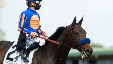 2021 Breeders’ Cup Distaff Contenders, Odds And Post Position: As Time Goes By