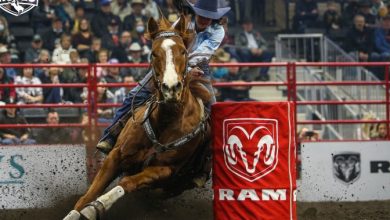 Canadian Finals Rodeo brings action, economic boost back to Red Deer