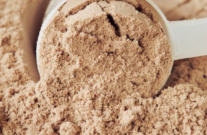 Best Protein Powder for Weight Loss and Buying Guide to Help You Choose