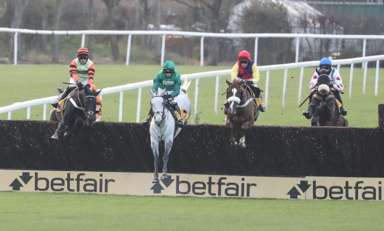 Runners jump a fence in the 2018 Betfair Chase