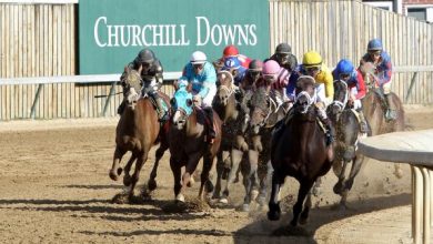 Where to Watch/Listen: Horse Racing Coverage for Nov. 10-15