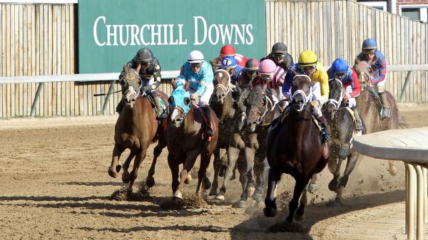 Where to Watch/Listen: Horse Racing Coverage for Nov. 10-15