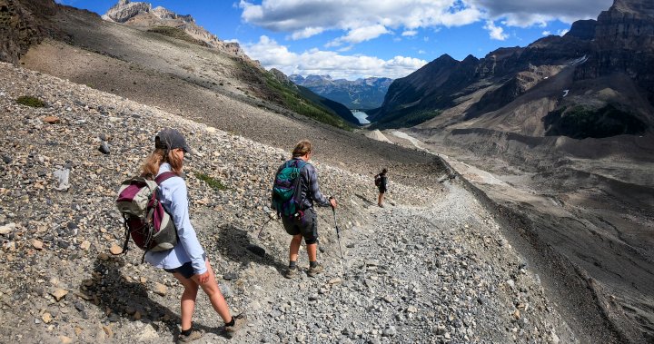 Scientists say new Alberta Trails Act threatens already stressed environment