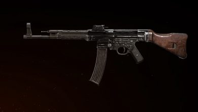 Finest STG44 Loadout in Name of Responsibility: Vanguard