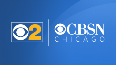 New Data Sheds Light On Chicago Police Officers Pointing Guns At People – CBS Chicago