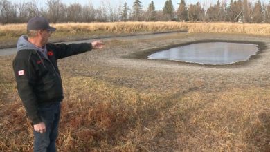 Saskatchewan farmers hoping for wet winter after drought-ravaged summer
