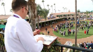 Piassek’s Plays: A Pair of Picks For the Breeders’ Cup