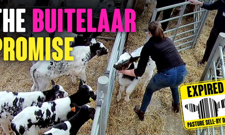 EXPIRED: Buitelaar Promise - Animal Justice Project