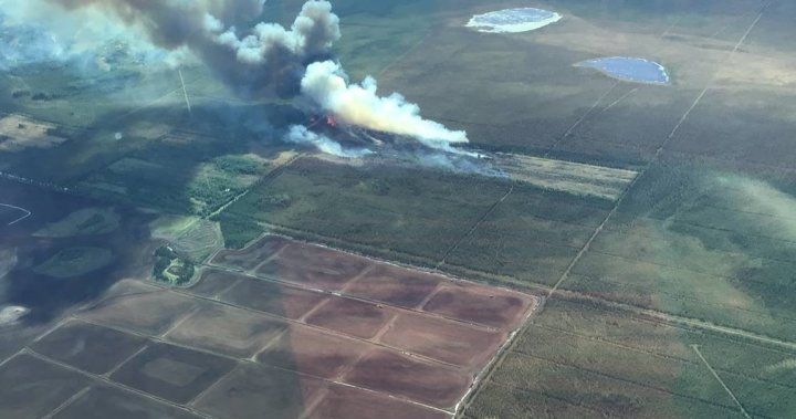62% of Alberta wildfires were caused by humans in 2021