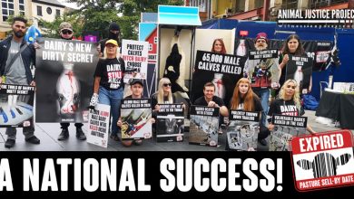 Dairy Still Kills: Successful National Action Day!