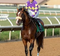 2021 Breeders’ Cup Odds & Ends: Art Collector, Express Train, NBC Coverage