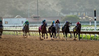 Biggest Breeders’ Cup Upsets, Race by Race (Part 2)