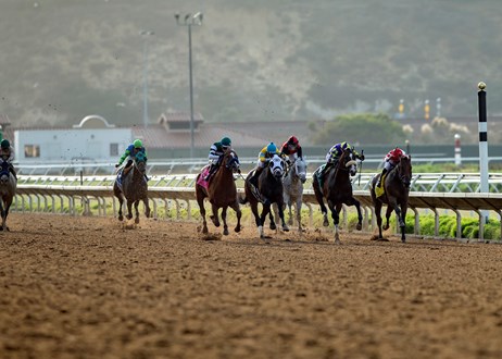 Biggest Breeders’ Cup Upsets, Race by Race (Part 2)