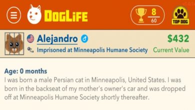 How to serve 10 years in the Shelter in DogLife - Life Sentence Achievement