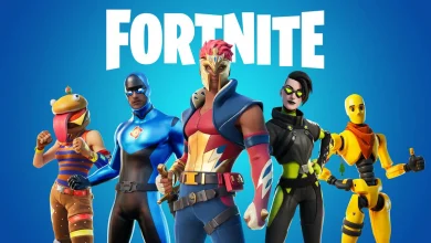 Fortnite Pulled by Epic Games From China Over Sweeping Crackdown on Tech Sector