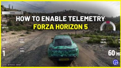 Forza Horizon 5 Turn On Telemetry HUD