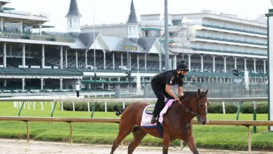 Trying to Beat Letruska in Breeders' Cup Distaff; Gamine Tops F&M Sprint