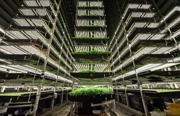 A chat with the author of ‘The Vertical Farm’ – TechCrunch