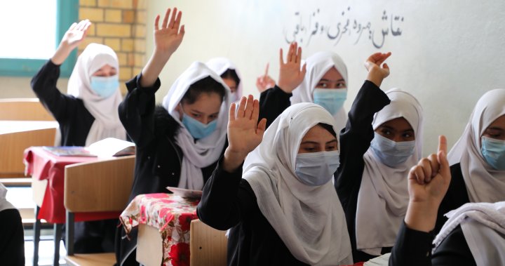 UNICEF working to directly fund Afghan teachers without Taliban interaction - National
