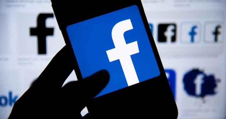 Facebook to remove face recognition amid growing concerns about misuse - National