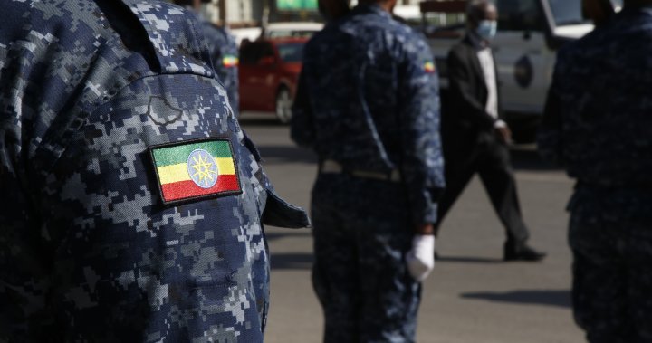 Ethiopia’s PM vows to bury enemy forces ‘with our blood’ amid state of emergency - National