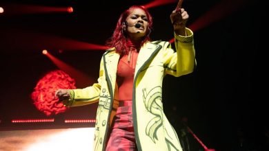 Teyana Taylor stops her show to check on a fan in viral video