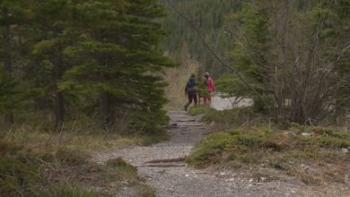 Groups say Alberta’s proposed Trails Act needed, concerned about details