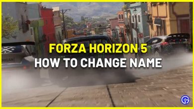 How To Change Character Name In Forza Horizon 5?