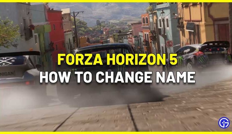 How To Change Character Name In Forza Horizon 5?
