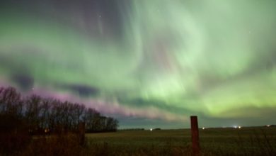 Another spectacular aurora borealis lights up the Alberta sky