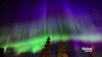 Spectacular aurora unfolds in the sky over Alberta