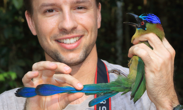 Amazon Rainforest birds’ bodies transform due to climate change – Watts Up With That?