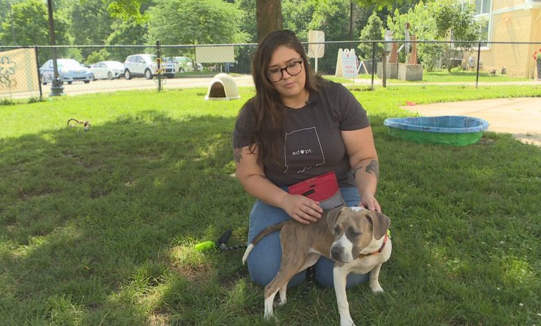 Pet shelter worker rescues dog, says dog rescued her - WISH-TV | Indianapolis News | Indiana Weather