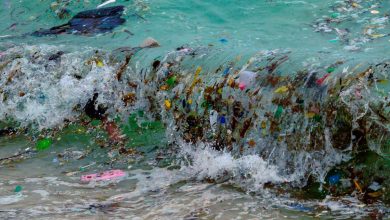 Marine plastic: Ships could turn waste into fuel for ocean clean-up