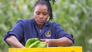 Kenya’s Twiga raises $50M to scale food solutions across Africa – TechCrunch
