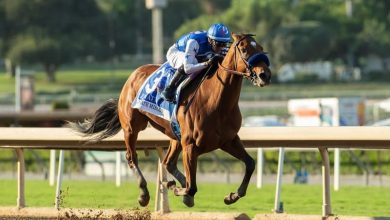 2021 Breeders’ Cup Distaff Contenders, Odds and Post Position: Private Mission