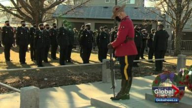 Outdoor Remembrance Day ceremonies take place across Edmonton