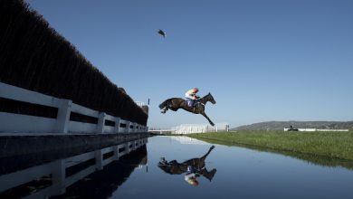 Might Bite in the 2017 RSA Chase